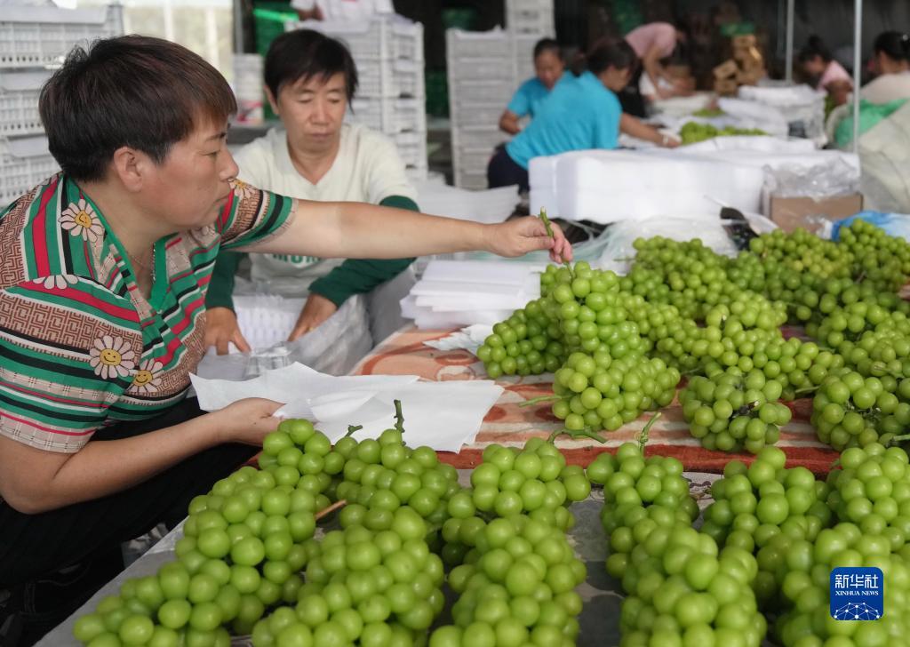 怎么算是闲龙宝,庄龙宝