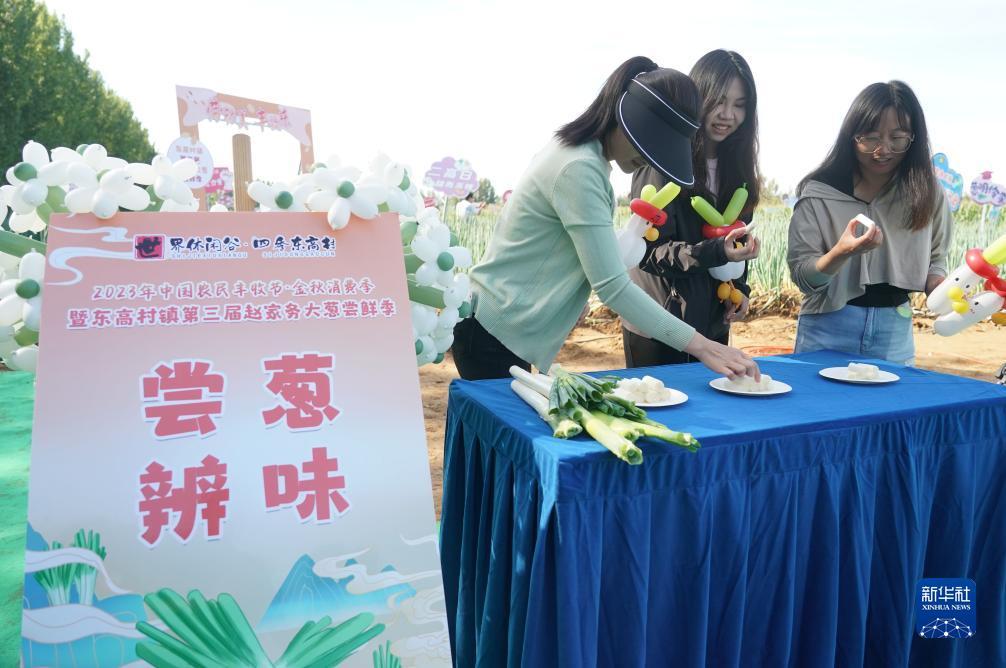 彩金棋牌官网